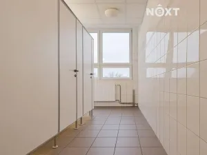 Pronájem kanceláře, České Budějovice, K. Světlé, 55 m2