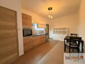 Pronájem bytu 1+1, Děčín, Hálkova, 44 m2