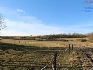 Prodej pozemku pro bydlení, Blevice, 1000 m2