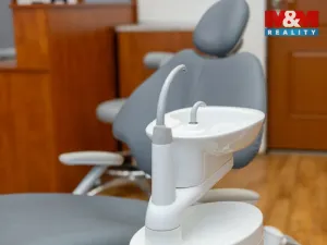 Pronájem komerční nemovitosti, Brno - Brno-město, Masarykova, 13 m2