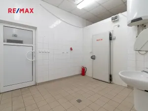 Pronájem obchodního prostoru, Plzeň, 181 m2
