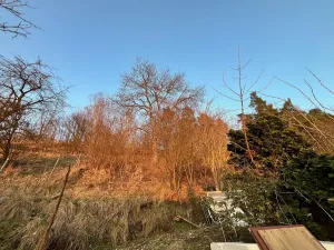 Pronájem bytu 2+1, Turnov, U Lomu, 36 m2