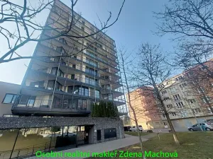 Pronájem bytu 1+kk, Praha - Žižkov, Ke kapslovně, 38 m2