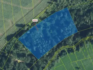 Dražba lesa, Nové Hrady, 7263 m2