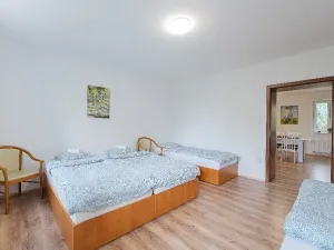 Pronájem apartmánu, Ostrava, Riegrova, 300 m2