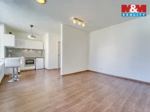 Pronájem bytu 1+kk, Plzeň - Severní Předměstí, Otýlie Beníškové, 29 m2