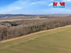 Prodej lesa, Slatiny, 6169 m2