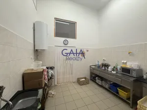 Prodej obchodního prostoru, Dačice, B. Němcové, 600 m2