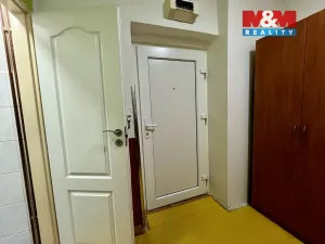 Prodej bytu 1+kk, Krnov - Pod Bezručovým vrchem, Březinova, 40 m2