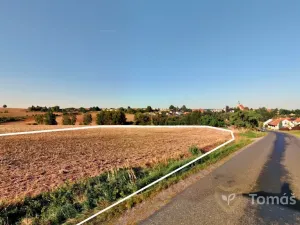 Prodej pole, Křenov, 140230 m2