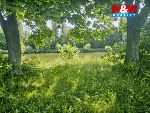 Prodej louky, Hradec Králové - Pražské Předměstí, 816 m2