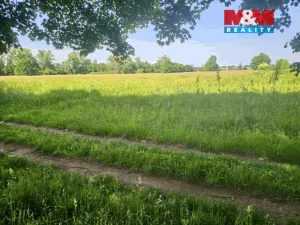 Prodej louky, Hradec Králové - Pražské Předměstí, 1878 m2