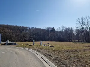 Prodej komerčního pozemku, Velká Polom, Okružní, 6038 m2