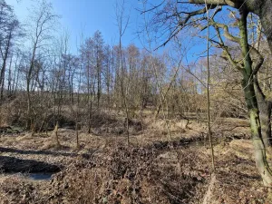 Prodej komerčního pozemku, Velká Polom, Okružní, 6038 m2