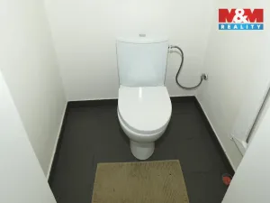 Prodej rodinného domu, Ledčice, 206 m2