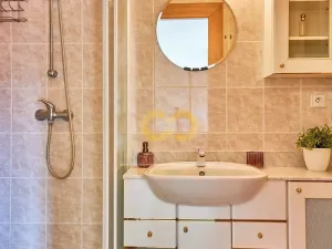 Prodej bytu 1+kk, Horní Planá, Jenišov, 43 m2