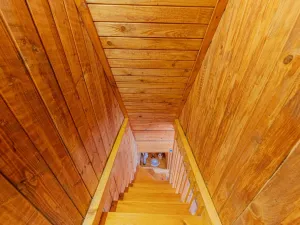 Prodej chaty, Nový Malín, 100 m2