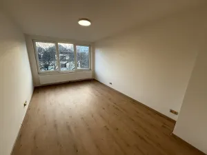 Pronájem bytu 3+1, Praha - Michle, Na líše, 136 m2