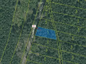 Dražba lesa, Vesce, 682 m2