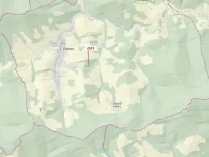 Dražba lesa, Zděchov, 867 m2