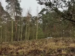 Prodej lesa, Libotenice, 17863 m2