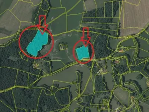 Prodej podílu lesa, Brloh, 5446 m2