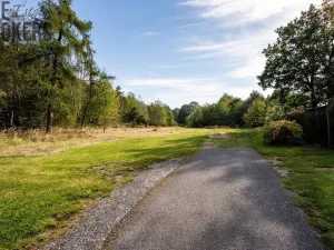 Prodej pozemku, Bezdědovice, 1262 m2