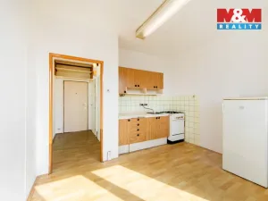 Prodej bytu 1+1, Plzeň - Jižní Předměstí, Čermákova, 43 m2