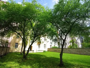 Pronájem bytu 2+kk, Praha - Žižkov, Kubelíkova, 46 m2