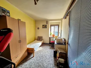 Prodej vícegeneračního domu, Kasejovice, 433 m2