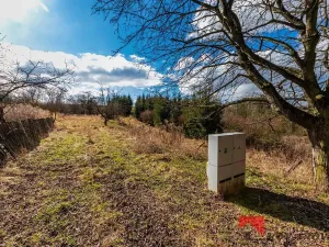 Prodej pozemku pro bydlení, Řepín, 707 m2