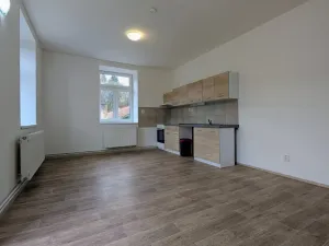 Pronájem bytu 1+kk, Peruc, U Koupaliště, 32 m2
