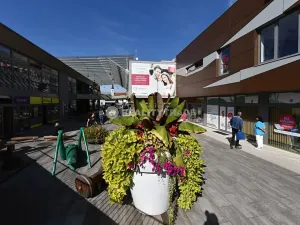 Pronájem obchodního prostoru, Strakonice, Bezděkovská, 111 m2