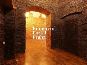 Pronájem restaurace, Praha - Nové Město, Soukenická, 181 m2