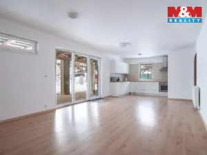 Prodej obchodního prostoru, Šumavské Hoštice - Kosmo, 316 m2