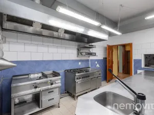 Prodej restaurace, Týnec nad Sázavou, 479 m2