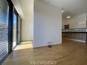 Pronájem bytu 1+kk, Brno, Šumavská, 43 m2