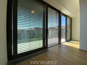 Pronájem bytu 1+kk, Brno, Šumavská, 43 m2