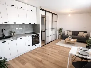 Pronájem bytu 1+kk, Praha - Hostivař, Dolnoměcholupská, 33 m2