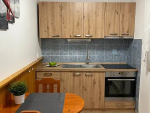 Pronájem bytu 2+1, Brno - Nový Lískovec, Rybnická, 50 m2