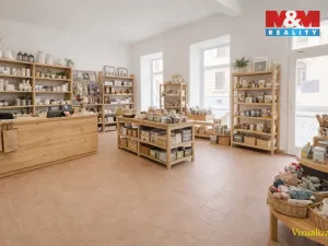 Prodej rodinného domu, Písek - Budějovické Předměstí, Tyršova, 315 m2