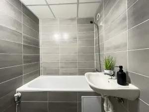 Pronájem bytu 1+1, Litvínov, Bezručova, 45 m2