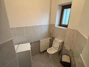 Pronájem vícegeneračního domu, Mladá Boleslav, Jiráskova, 490 m2