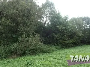 Prodej podílu pozemku pro bydlení, Mladějov, 382 m2