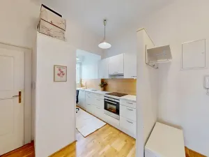 Pronájem bytu 2+1, Praha - Holešovice, U Uranie, 55 m2