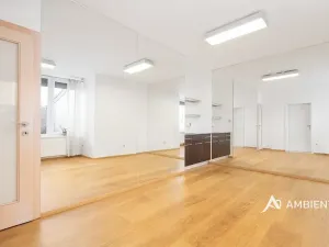 Prodej rodinného domu, Moravany, V Jámách, 382 m2