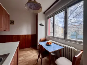 Prodej bytu 2+1, Brno, Vídeňská, 54 m2