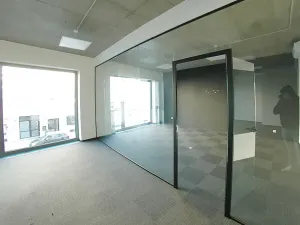 Pronájem kanceláře, Plzeň, Purkyňova, 221 m2