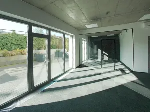 Pronájem kanceláře, Plzeň, Purkyňova, 221 m2
