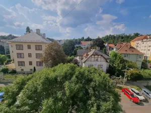 Pronájem bytu 1+1, Brno, bratří Čapků, 55 m2